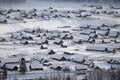 Hemu Village in winter Royalty Free Stock Photo