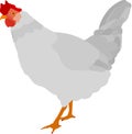 Hen