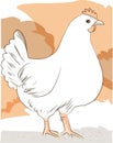 Simple Hen standing against simple background