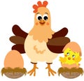 Hen with chick and egg in the nest Royalty Free Stock Photo