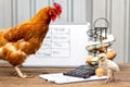 Business hen and chick having a small business meeting discussing egg production, accounts, pay raise, promotion and tax Royalty Free Stock Photo