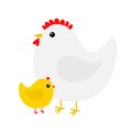 Hen and chicken bird icon set. Mother and baby. Happy Easter. Cute cartoon funny kawaii chick character. Flat design. Greeting Royalty Free Stock Photo