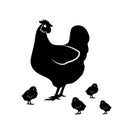 Hen chicken silhouette vector illustration, perfect for farming or pet design. flat design style Royalty Free Stock Photo