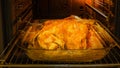 The hen is cooked in the oven by a cook Royalty Free Stock Photo