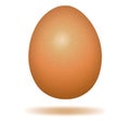 Hen egg. Royalty Free Stock Photo