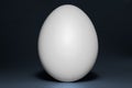 Hen egg Royalty Free Stock Photo