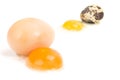 Hen Egg and Quails Egg Royalty Free Stock Photo