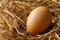 Hen egg on straw Royalty Free Stock Photo