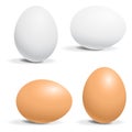 Hen egg Royalty Free Stock Photo