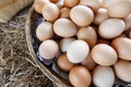 Hen eggs basket on straw / fresh farmer& x27;s eggs Royalty Free Stock Photo