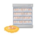 Hen Eggs in Hay Nest and Incubator Equipment Vector Illustration