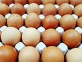 hen eggs Royalty Free Stock Photo