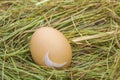 Hen eggs in straw ,fresh farmer`s egg. Royalty Free Stock Photo