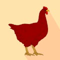 Hen flat design icon vector