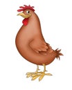 Hen funny animals