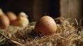 Hen hatching eggs in nest of straw inside chicken coop. Generative AI