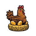 Hen laying eggs in nest. Chicken cartoon vector