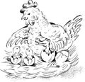 Hen on nest with hatching chicken and baby crocodi Royalty Free Stock Photo