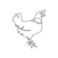 Hen one line art. Continuous line drawing of poultry, domestic animal.