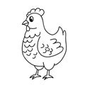 Hen outline cartoon character, vector design isolated on white background. Sweet chicken for children coloring