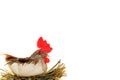 Hen party chicken isolated on hay toy Royalty Free Stock Photo