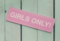 Hen party, feminine sign girls only. Photo booth backdrop, decoration Royalty Free Stock Photo