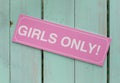 Hen party, feminine sign girls only. Photo booth backdrop, decoration Royalty Free Stock Photo