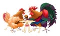 Hen and rooster in a cafe