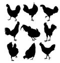 Hen and roster silhouette-vector