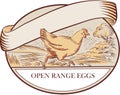 Hen Running Open Range Eggs Oval Drawing