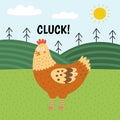 Hen saying cluck print. Cute farm character on a green pasture making a sound Royalty Free Stock Photo