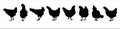 Hen silhouettes vector set. Chicken farm illustration Royalty Free Stock Photo