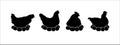 Hen silhouettes vector set. Chicken incubate the eggs illustration set Royalty Free Stock Photo