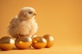 A hen sits among golden eggs on a yellow background Royalty Free Stock Photo