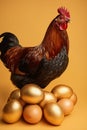 A hen sits among golden eggs on a yellow background Royalty Free Stock Photo