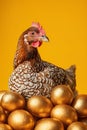 A hen sits among golden eggs on a yellow background Royalty Free Stock Photo