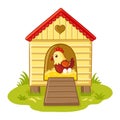 The hen sits in the henhouse. Royalty Free Stock Photo