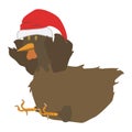 hen wearing santa cap. Vector illustration decorative design Royalty Free Stock Photo