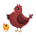 Hen with Yellow Chick Walking in the Yard Vector Illustration