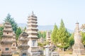 Talin (Buddhist Pagoda Forest), Shaolin Temple in Dengfeng, Henan, China. It is part of UNESCO World Heritage Site.