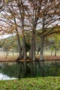 Henderson Creek, Ingram Texas