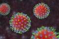 Hendra virus infection Royalty Free Stock Photo