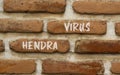 Hendra virus symbol. Concept words Hendra virus on red brown brick wall. Beautiful red brown brick wall background. Medical hendra Royalty Free Stock Photo