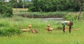 Hengqin Wetland Grass Nature Recreation Outdoor Playground Park Royalty Free Stock Photo