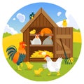 Henhouse with funny birds on a green lawn vector illustration Royalty Free Stock Photo