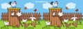 Henhouse and poultry in the backyard, board game for children, find five differences. Vector illustration,