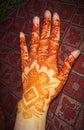 Arabic Henna Designs For Girls