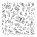 Henna floral tattoo doodle vector elements on white background Royalty Free Stock Photo