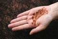 Henna Hand Royalty Free Stock Photo