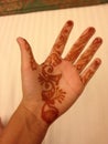 Mehndi cerimony of an indian marriage